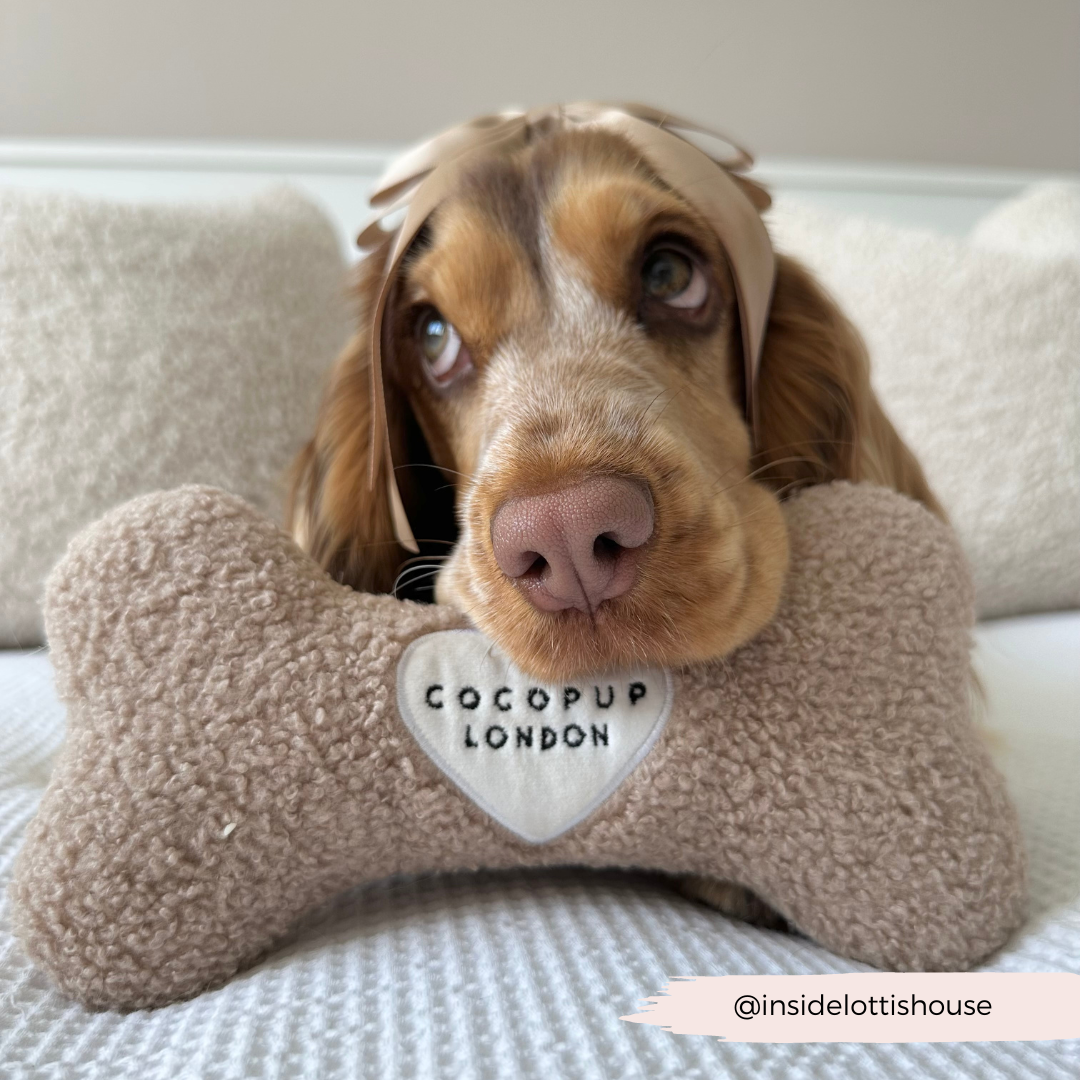 Jouet en os Teddy Rupert