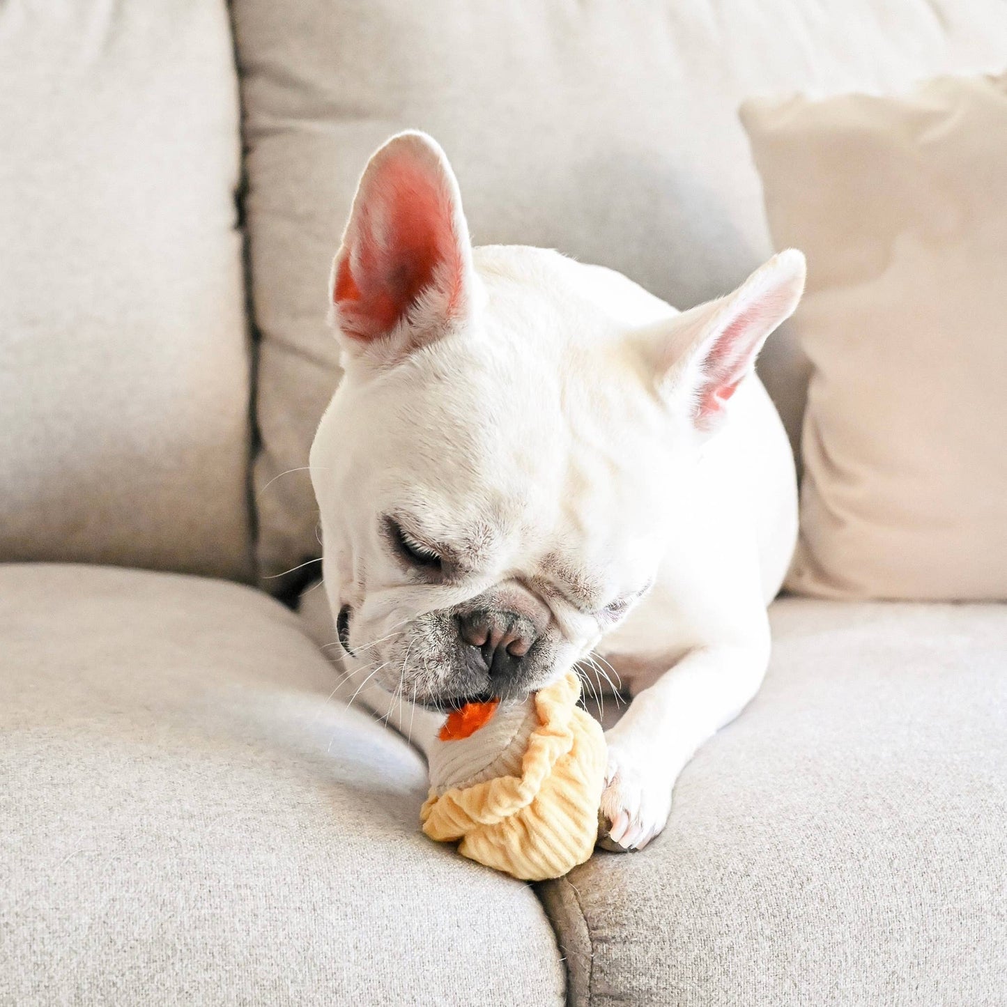 DIM SUM POP // Jouet d'enrichissement pour chien