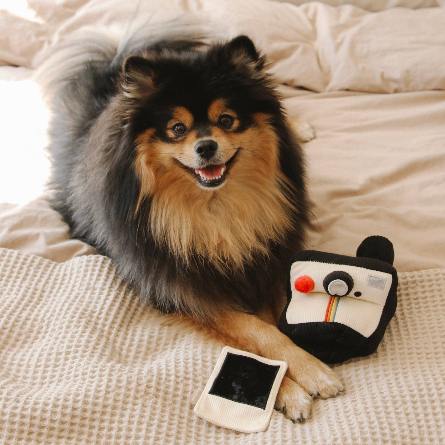 APPAREIL PHOTO INSTANTANÉ // JOUET D'ENRICHISSEMENT POUR CHIEN