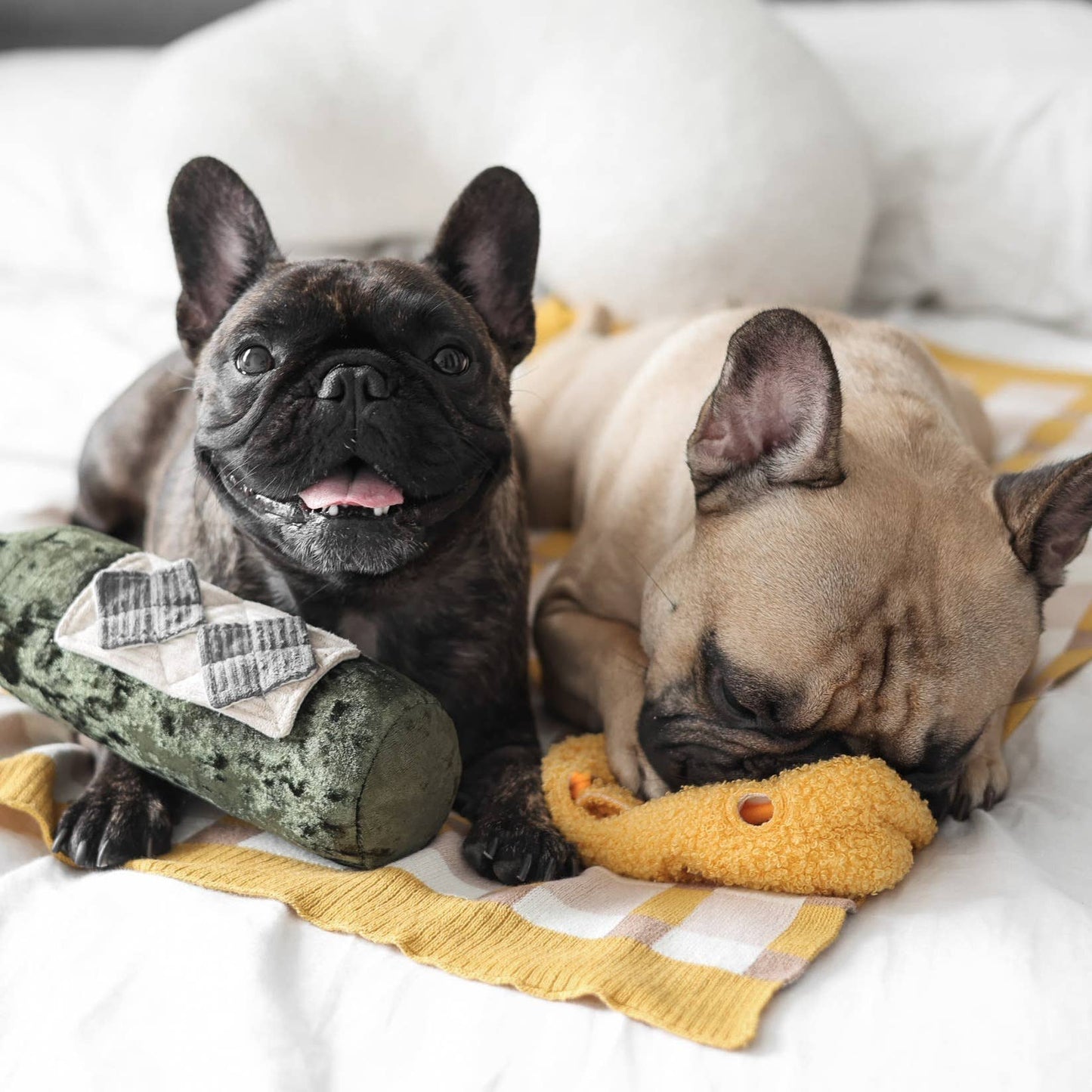 JOUET POUR CHIEN MERLOT//ENRICHMENT
