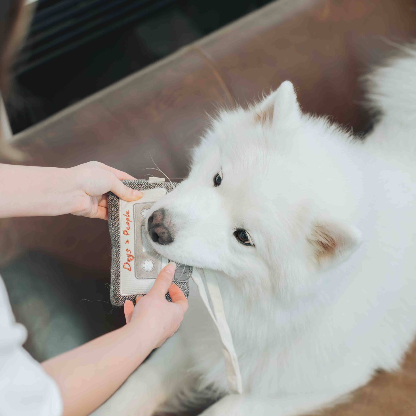 CASSETTE // JOUET D'ENRICHISSEMENT POUR CHIEN