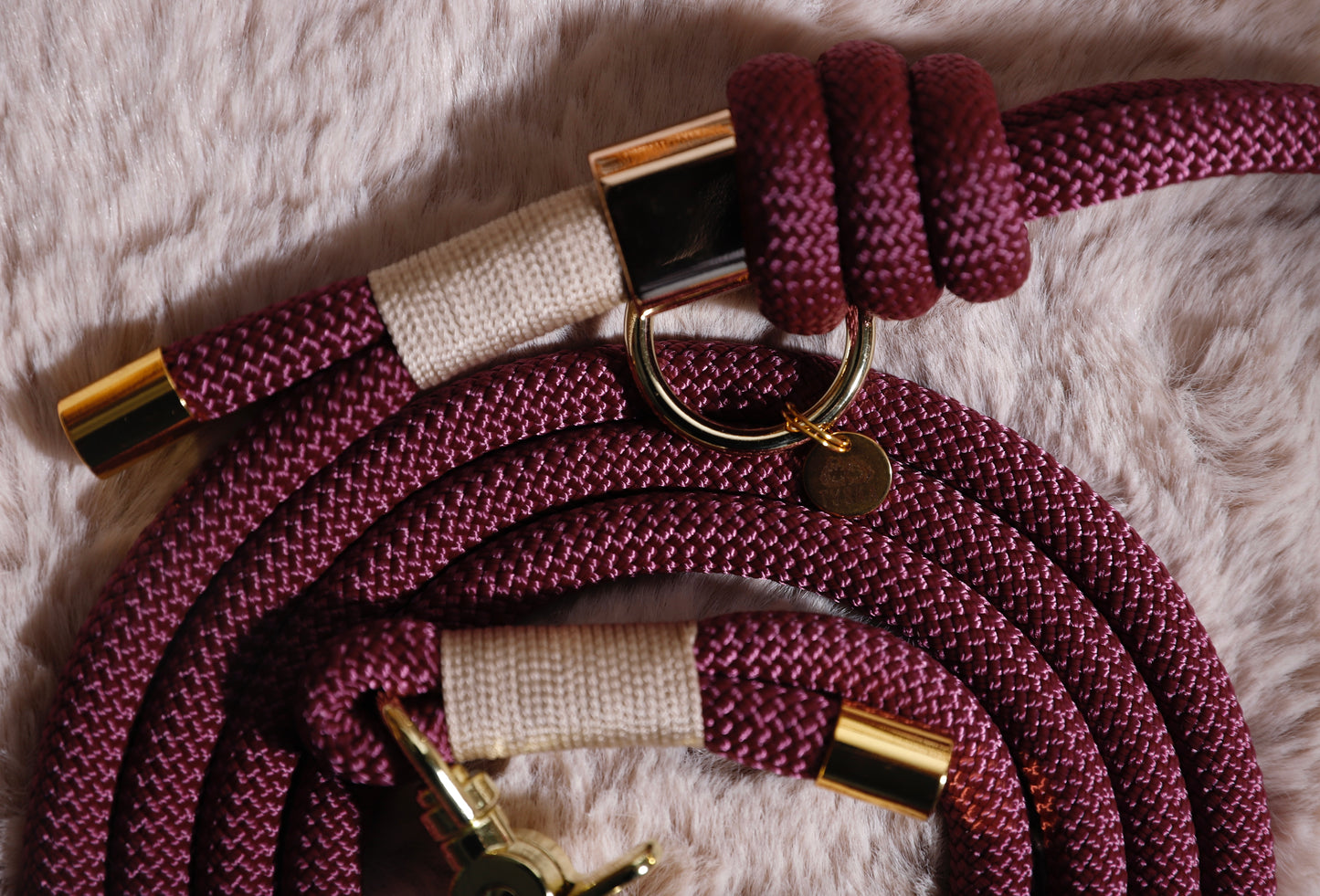 Laisse Aubergine