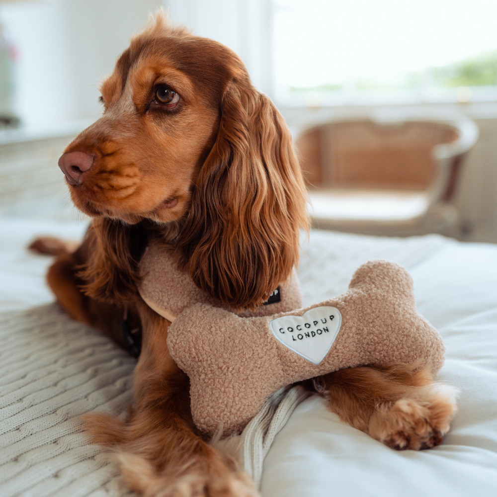 Jouet en os Teddy Rupert