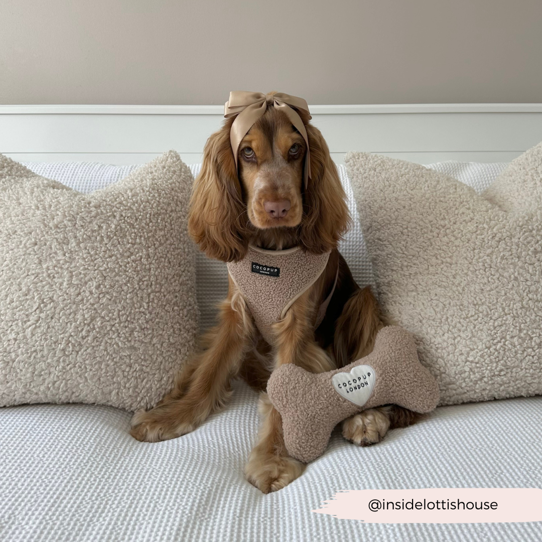 Jouet en os Teddy Rupert