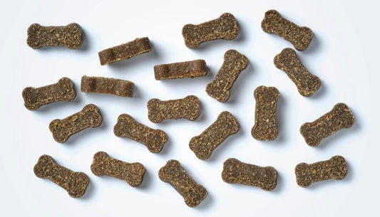 Mini Os Truite et Spiruline