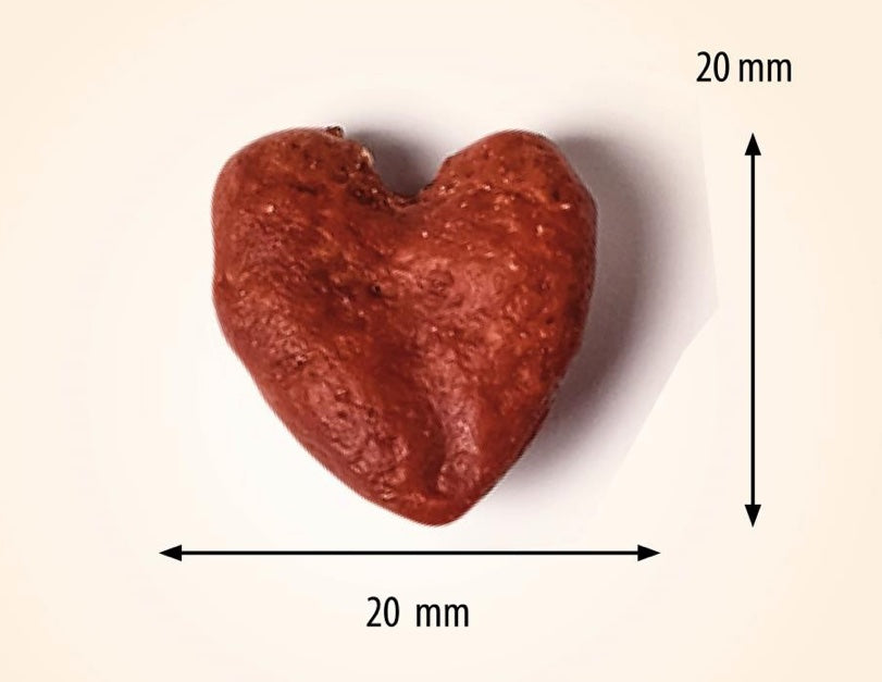 Petits coeurs de Lapin