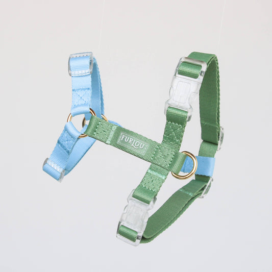 Harnais bi couleur bleu vert FURLOU