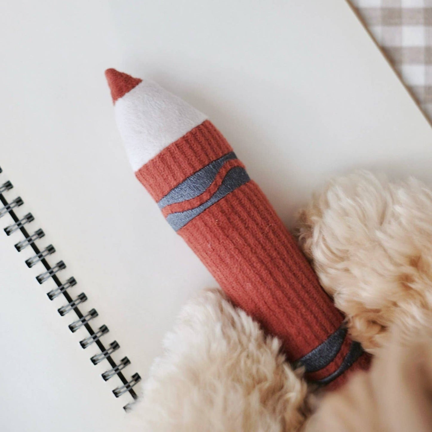JOUET POUR CHIEN CRAYONS/ENRICHISSEMENT
