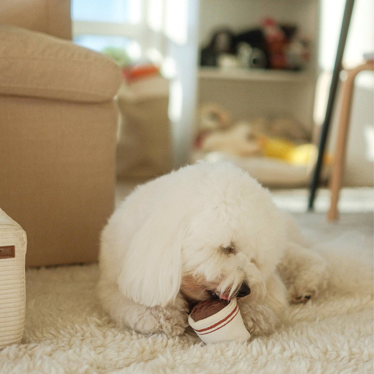 EXPRESSO POP//JOUET D'ENRICHISSEMENT POUR CHIEN