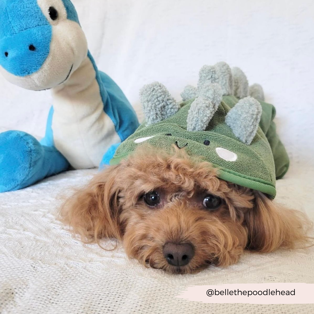 Peignoir de séchage Dinopup