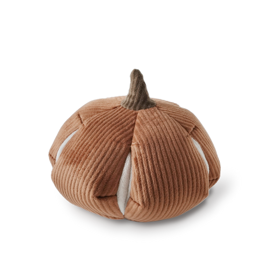 Peluche citrouille
