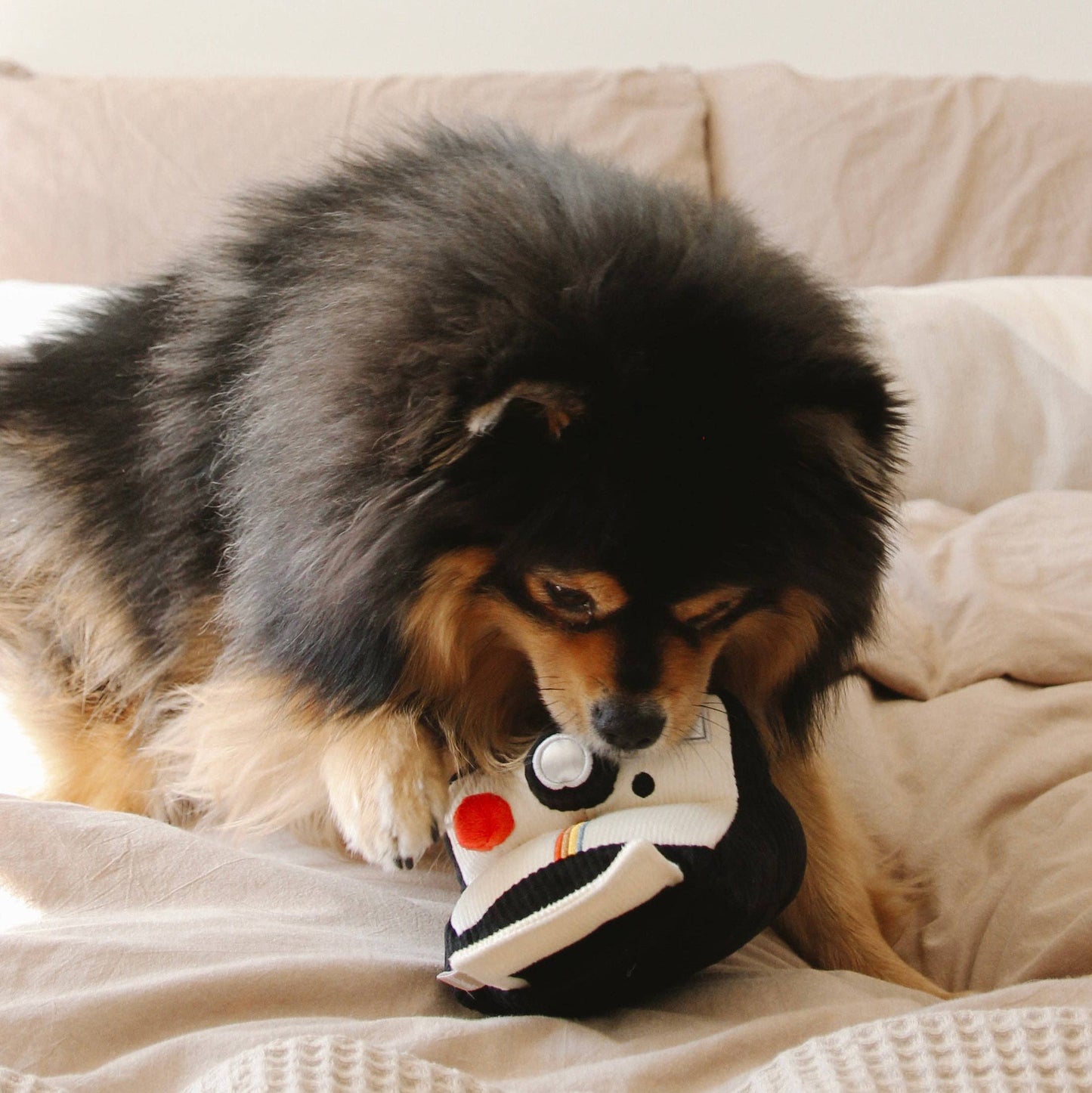APPAREIL PHOTO INSTANTANÉ // JOUET D'ENRICHISSEMENT POUR CHIEN
