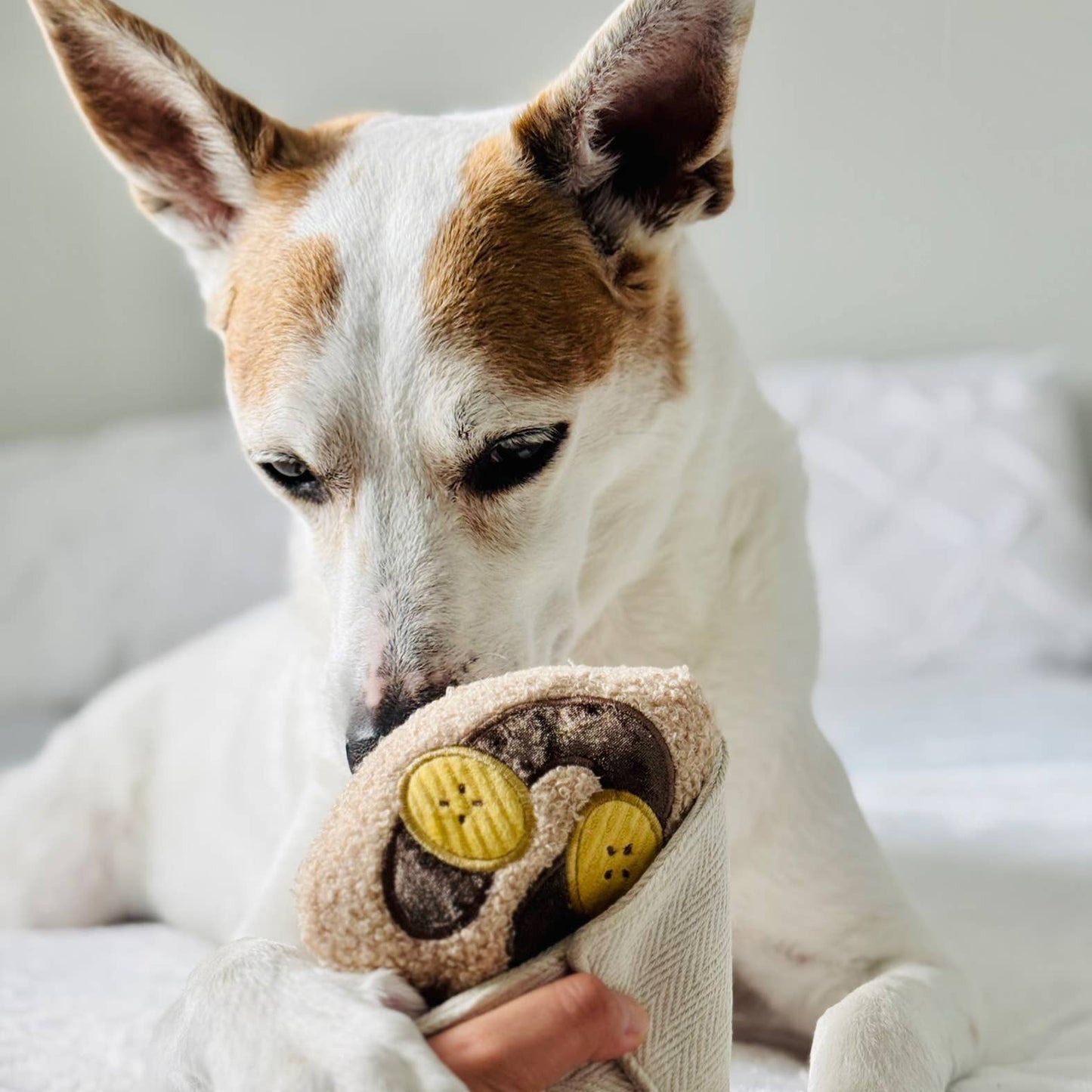 JOUET POUR CHIEN ENRICHISSANT // CRÊPE