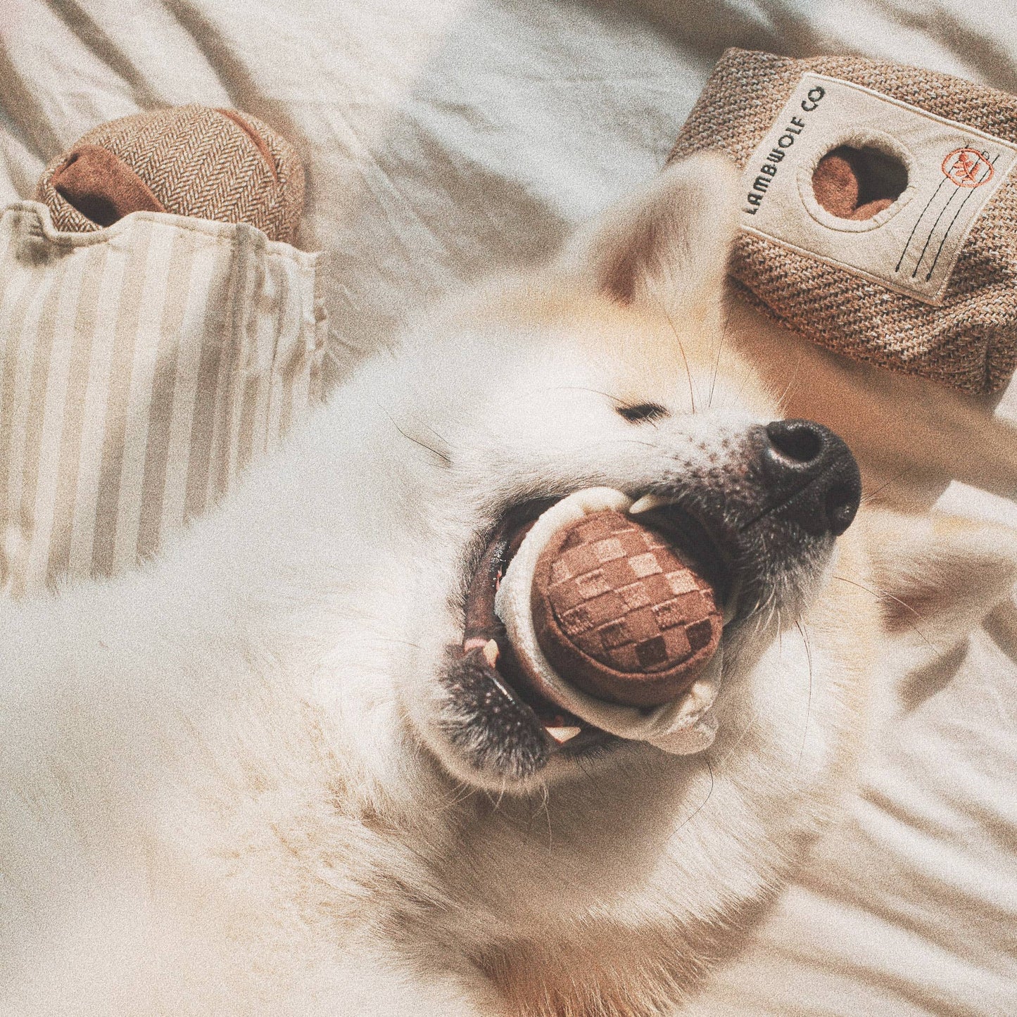 EXPRESSO POP//JOUET D'ENRICHISSEMENT POUR CHIEN