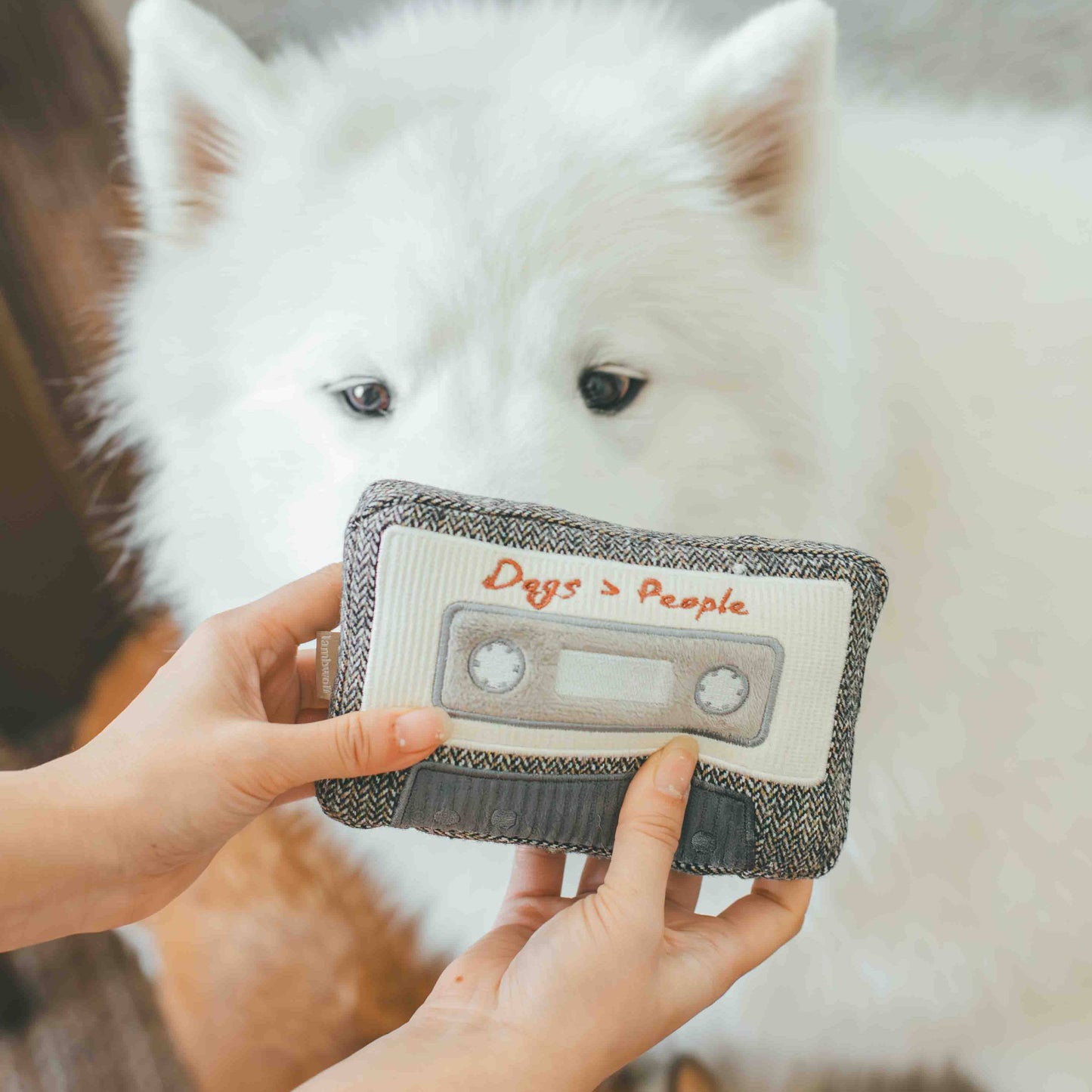 CASSETTE // JOUET D'ENRICHISSEMENT POUR CHIEN