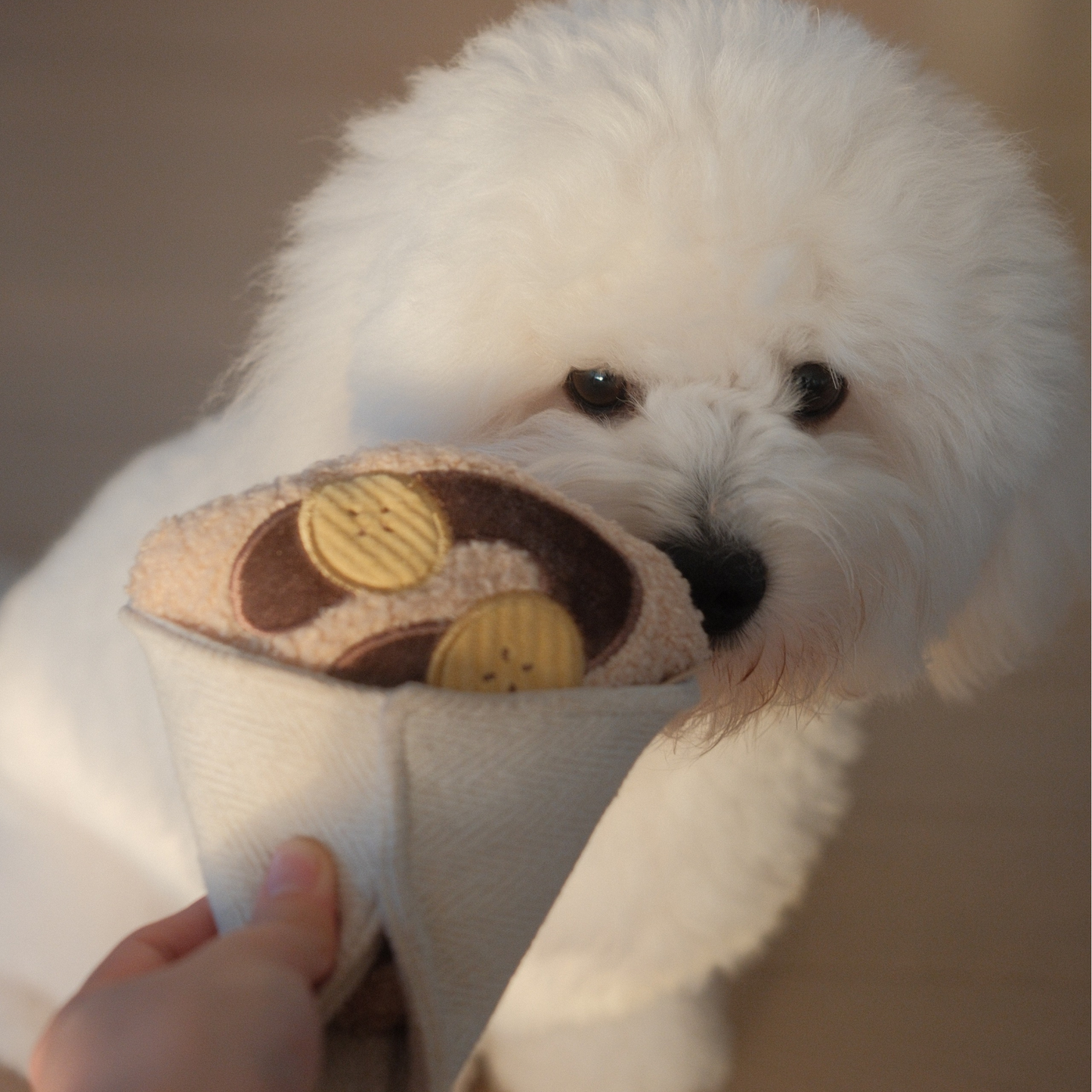 JOUET POUR CHIEN ENRICHISSANT // CRÊPE