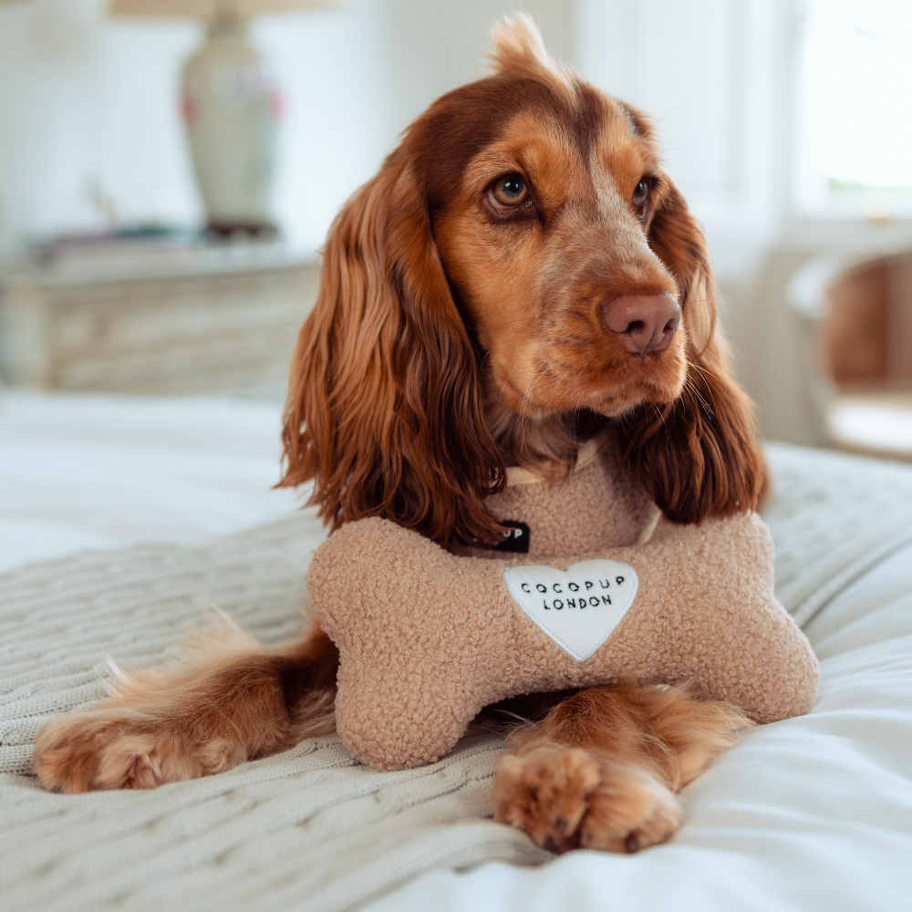 Jouet en os Teddy Rupert