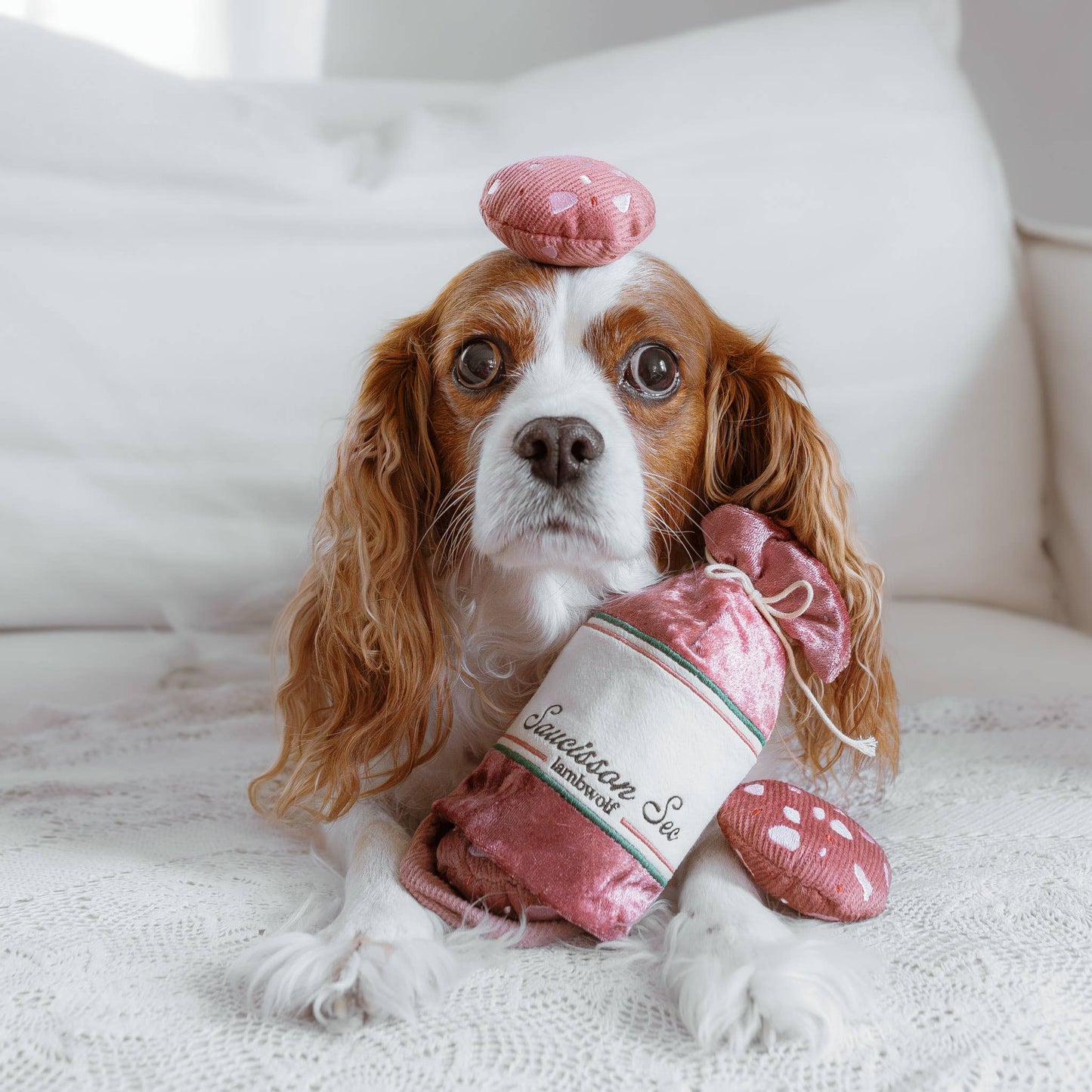 JOUET POUR CHIEN ENRICHISSANT//SAUCISSON SEC