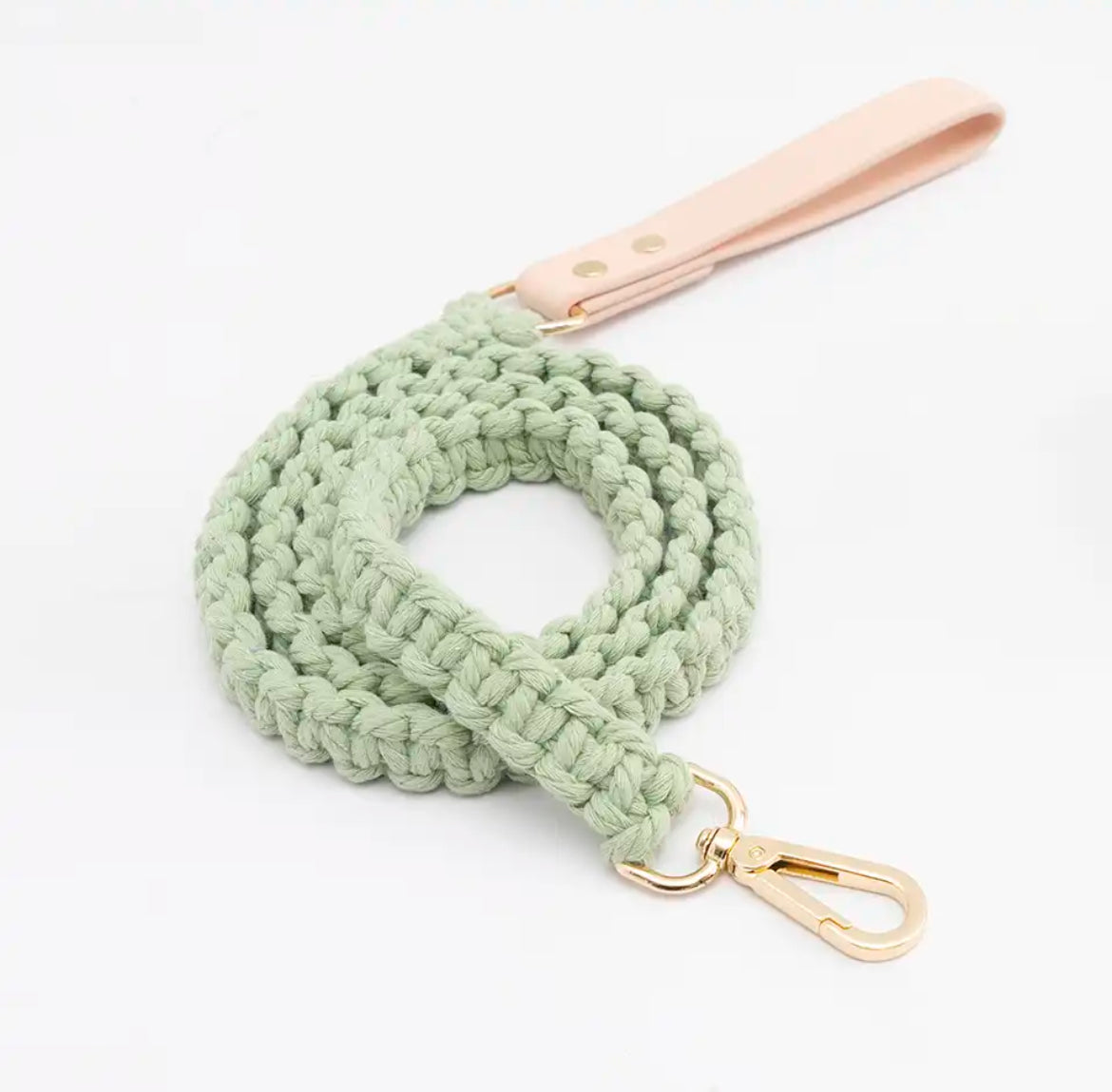 Ensemble laisse et collier