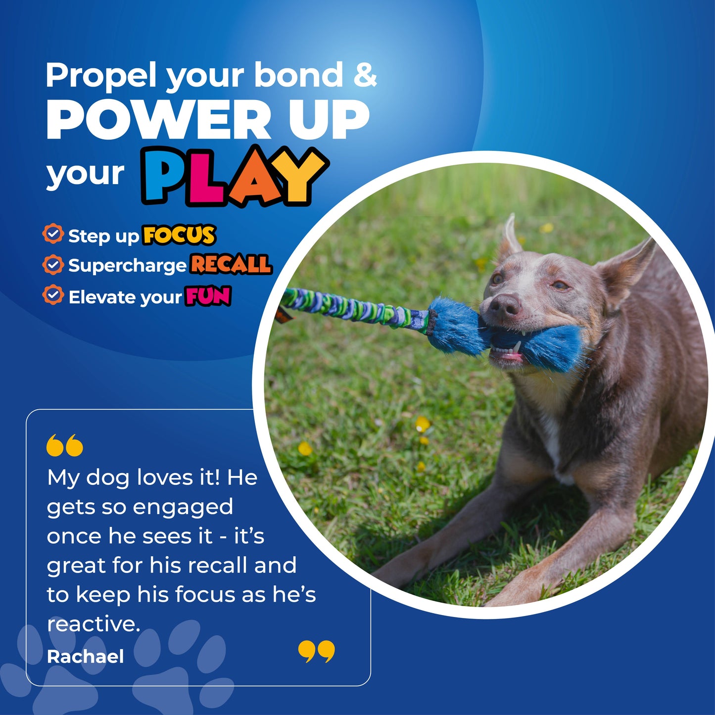 Bright Fauxtastic | Jouet de remorquage pour chien | Tug-E-Nuff