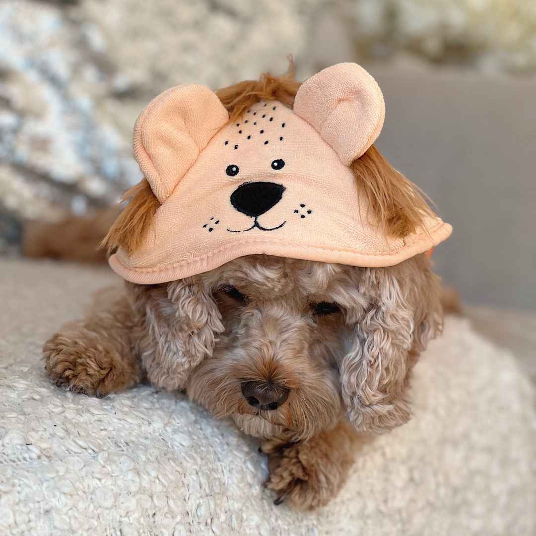 Peignoir de séchage Roary the Lion