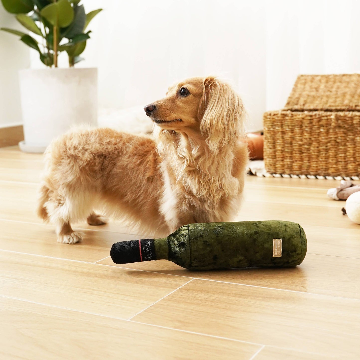 JOUET POUR CHIEN MERLOT//ENRICHMENT