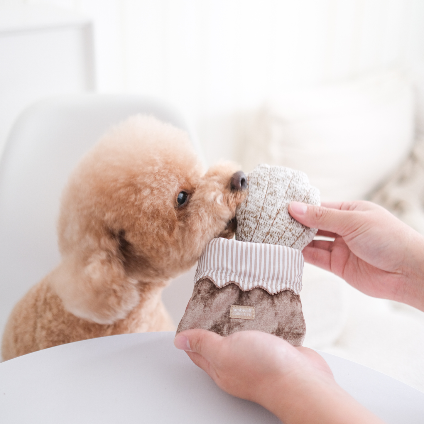 JOUET POUR CHIEN PETITE TWO/ENRICHMENT