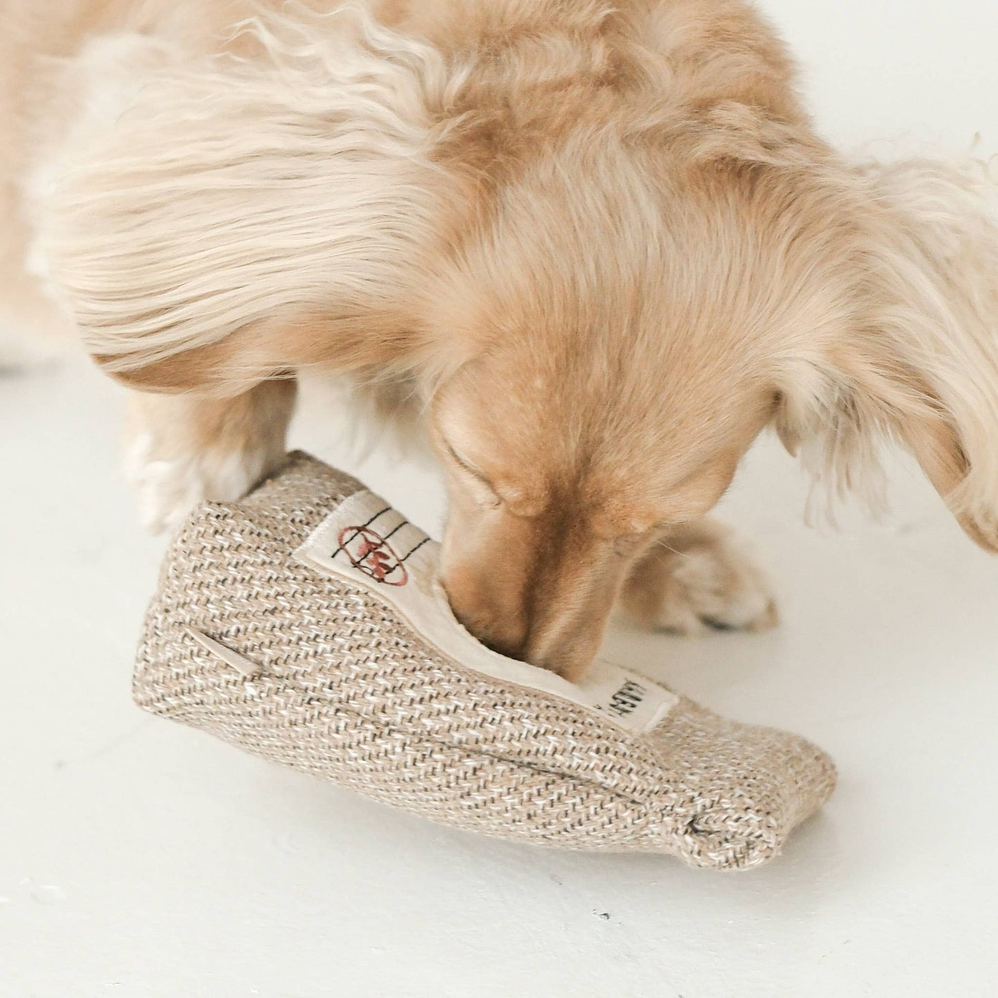 Grains de café//JOUET POUR CHIEN D'ENRICHISSEMENT