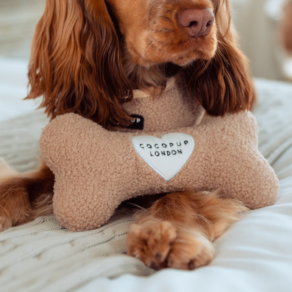 Jouet en os Teddy Rupert