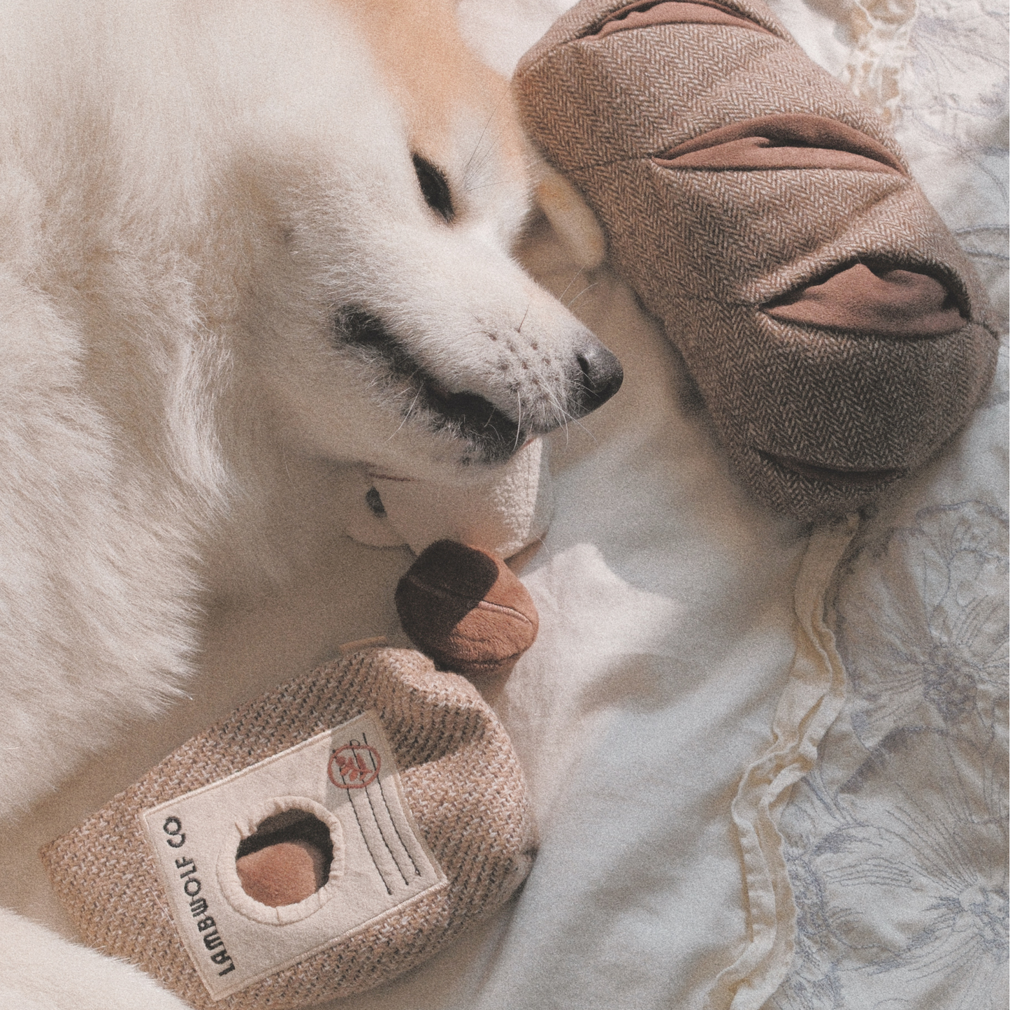 Grains de café//JOUET POUR CHIEN D'ENRICHISSEMENT