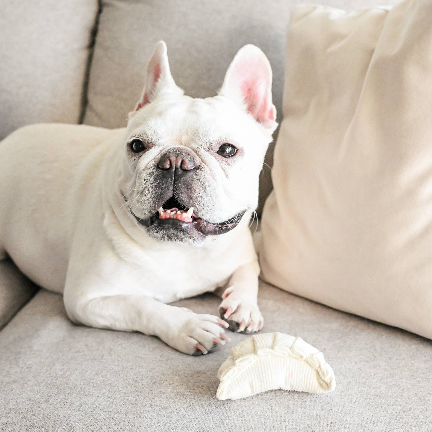 DIM SUM POP // Jouet d'enrichissement pour chien