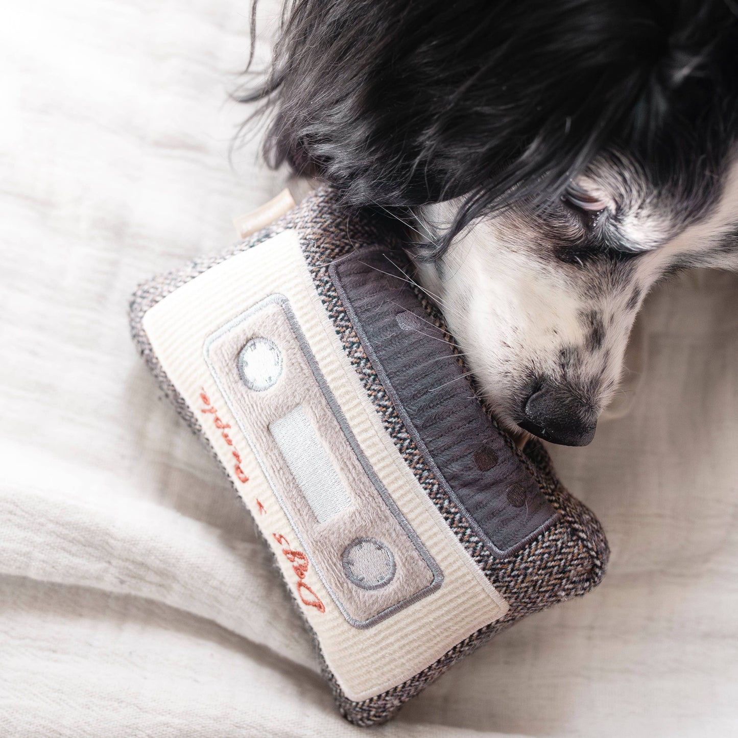 CASSETTE // JOUET D'ENRICHISSEMENT POUR CHIEN