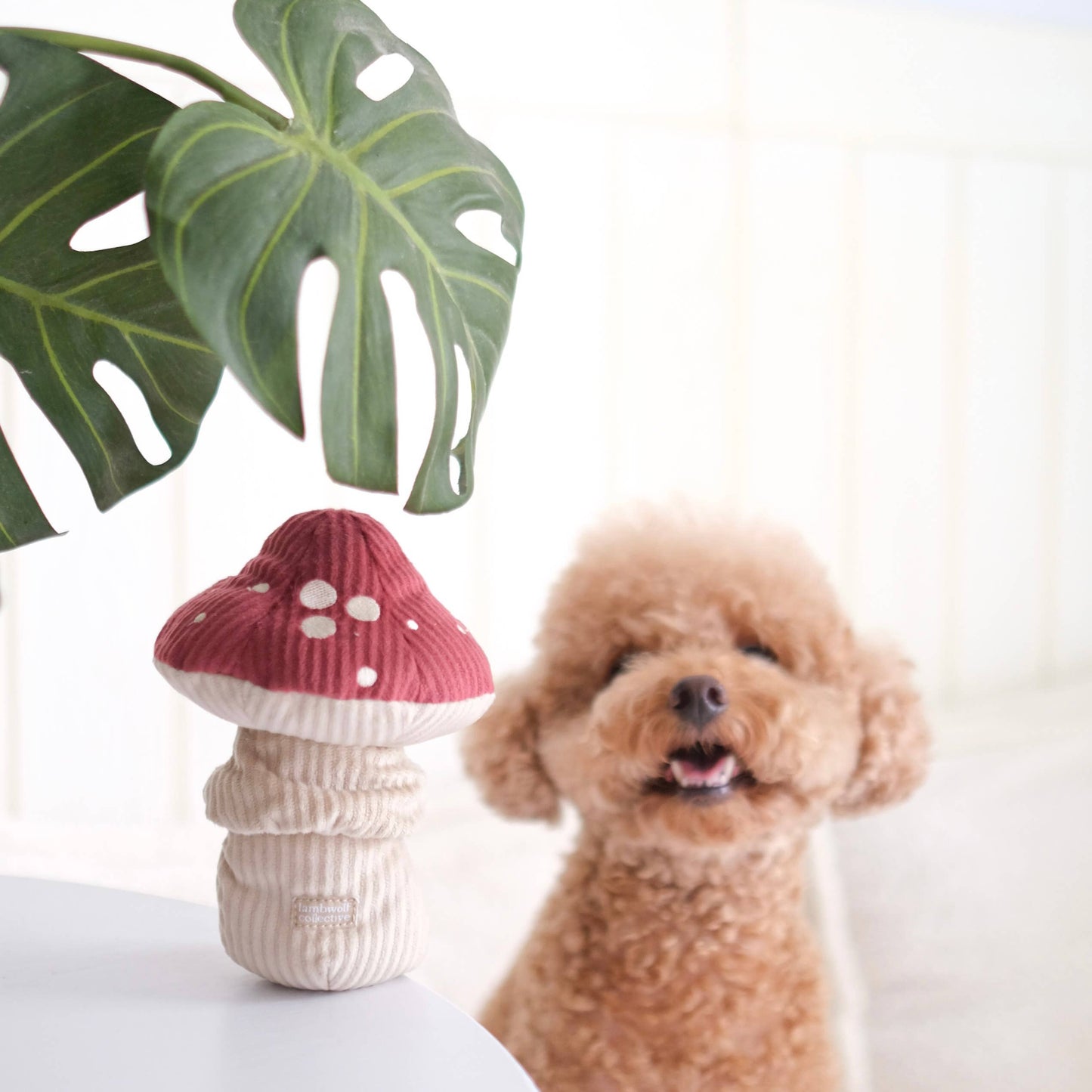 Peluche Champignon