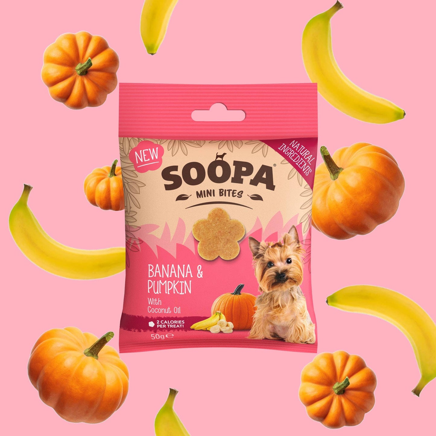 Friandises à la banane et à la citrouille