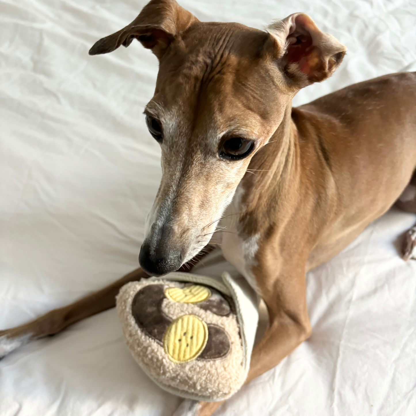 JOUET POUR CHIEN ENRICHISSANT // CRÊPE