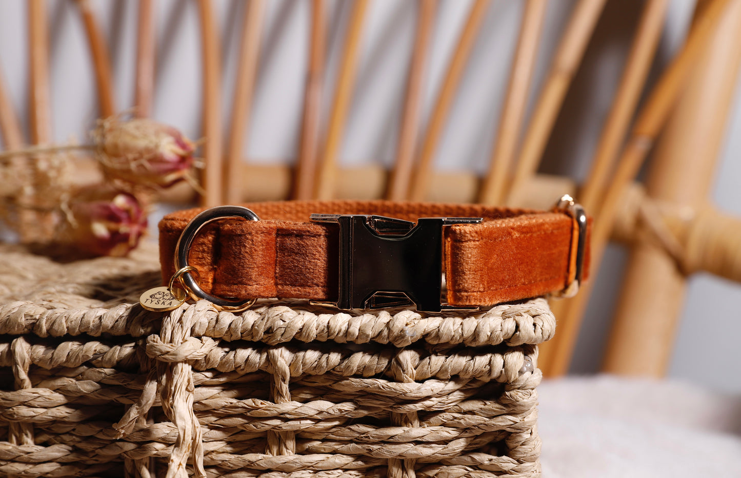 Collier velours