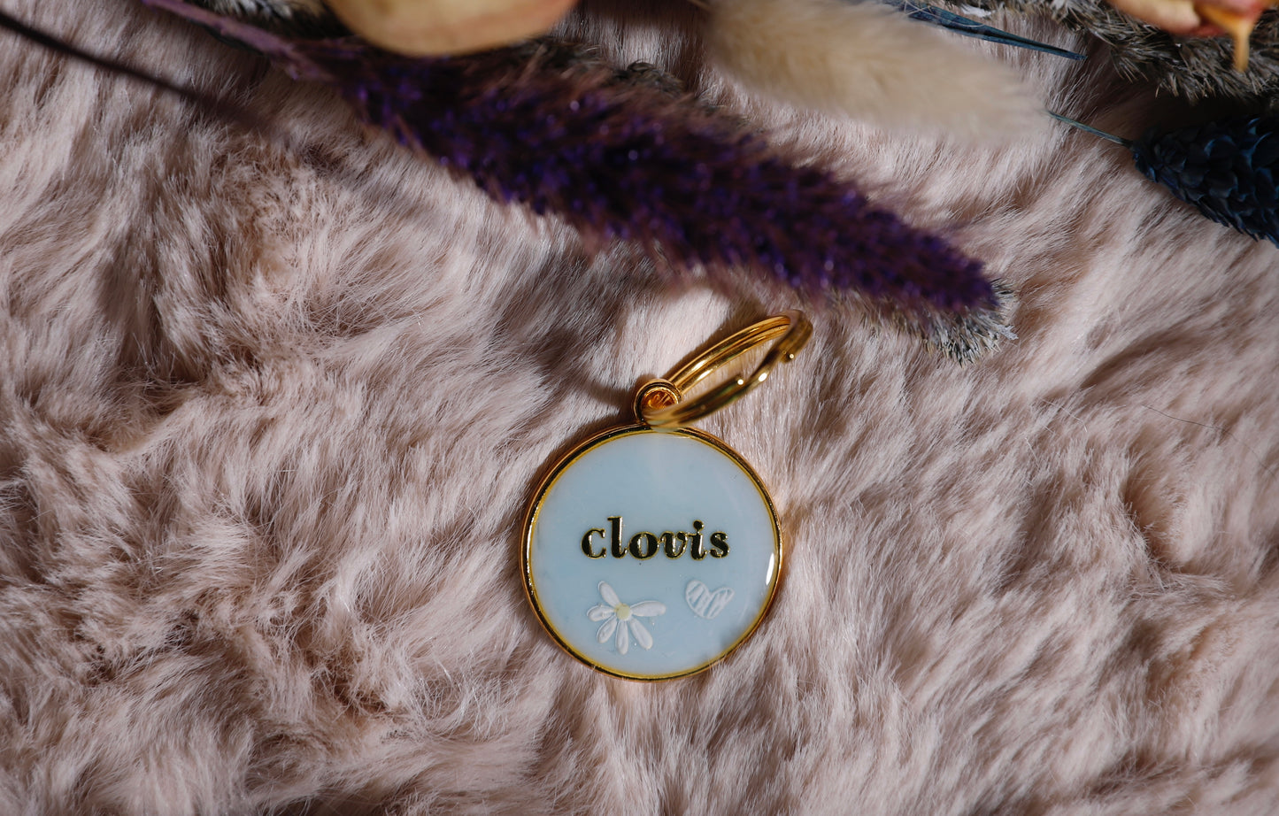 Médaille CLOVIS