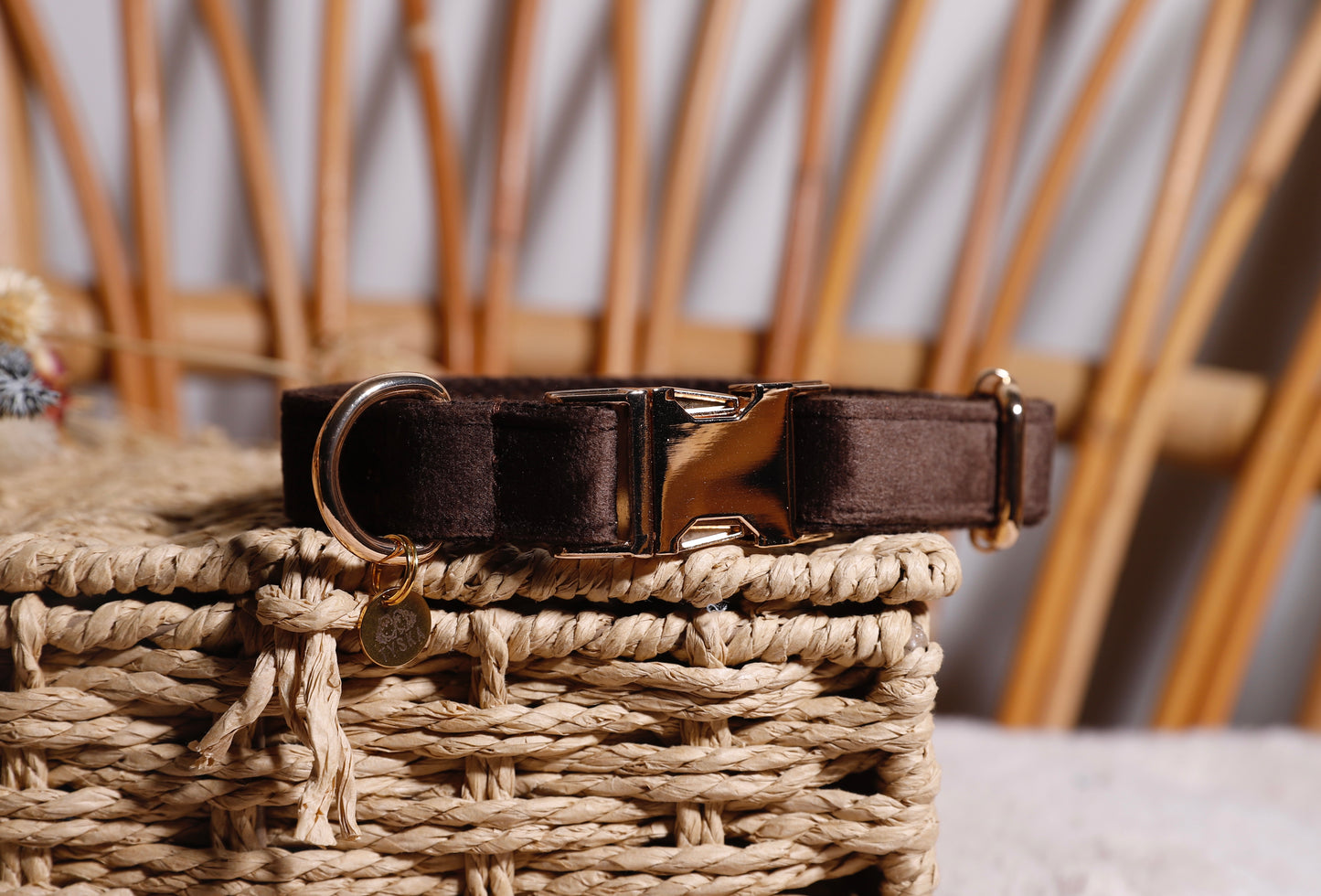 Collier velours
