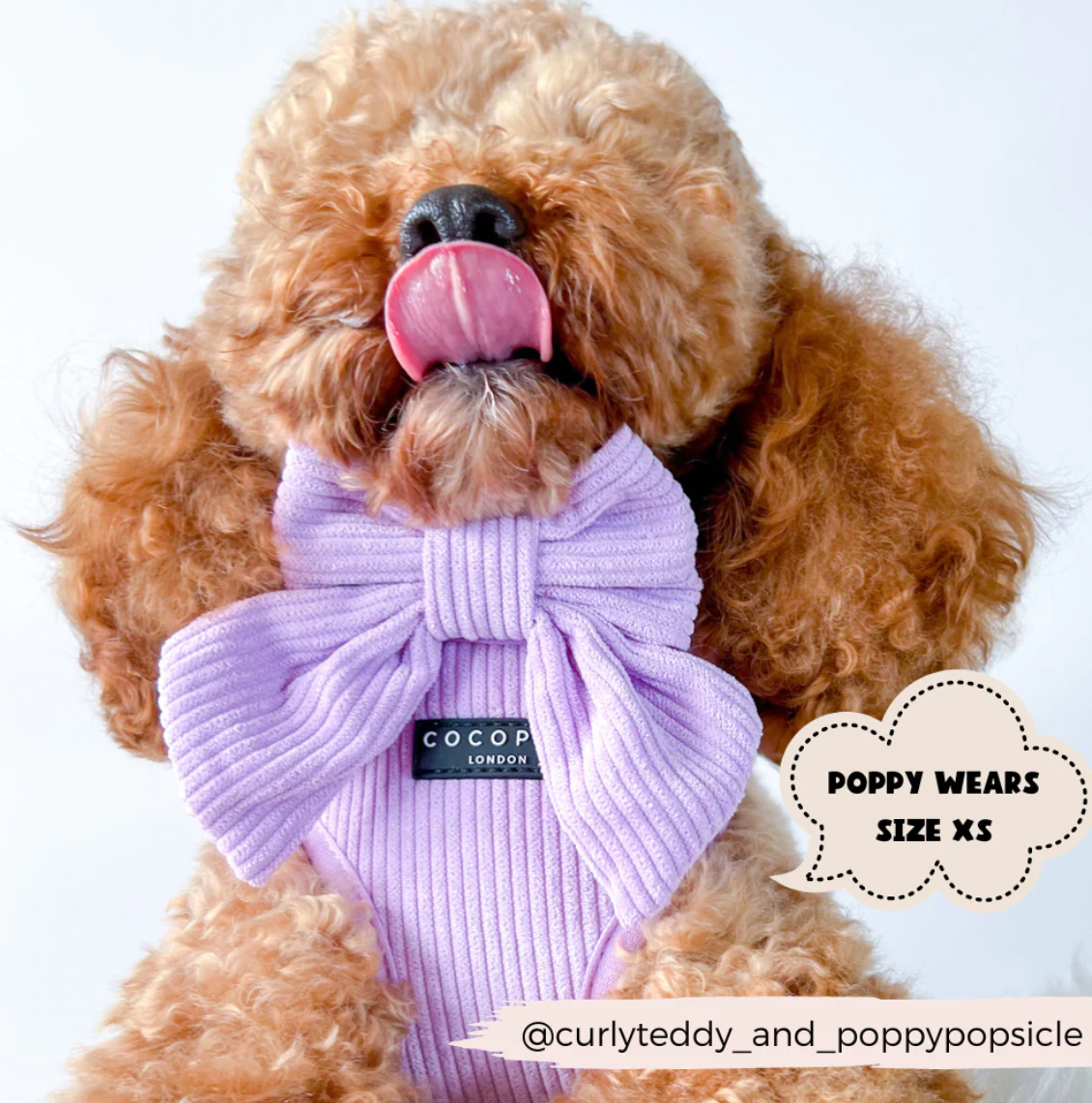 Nœud papillon Lilas Cord Sailor