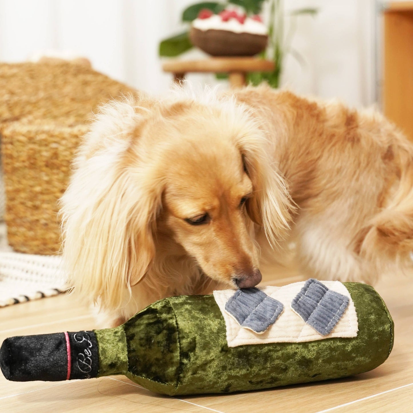 JOUET POUR CHIEN MERLOT//ENRICHMENT