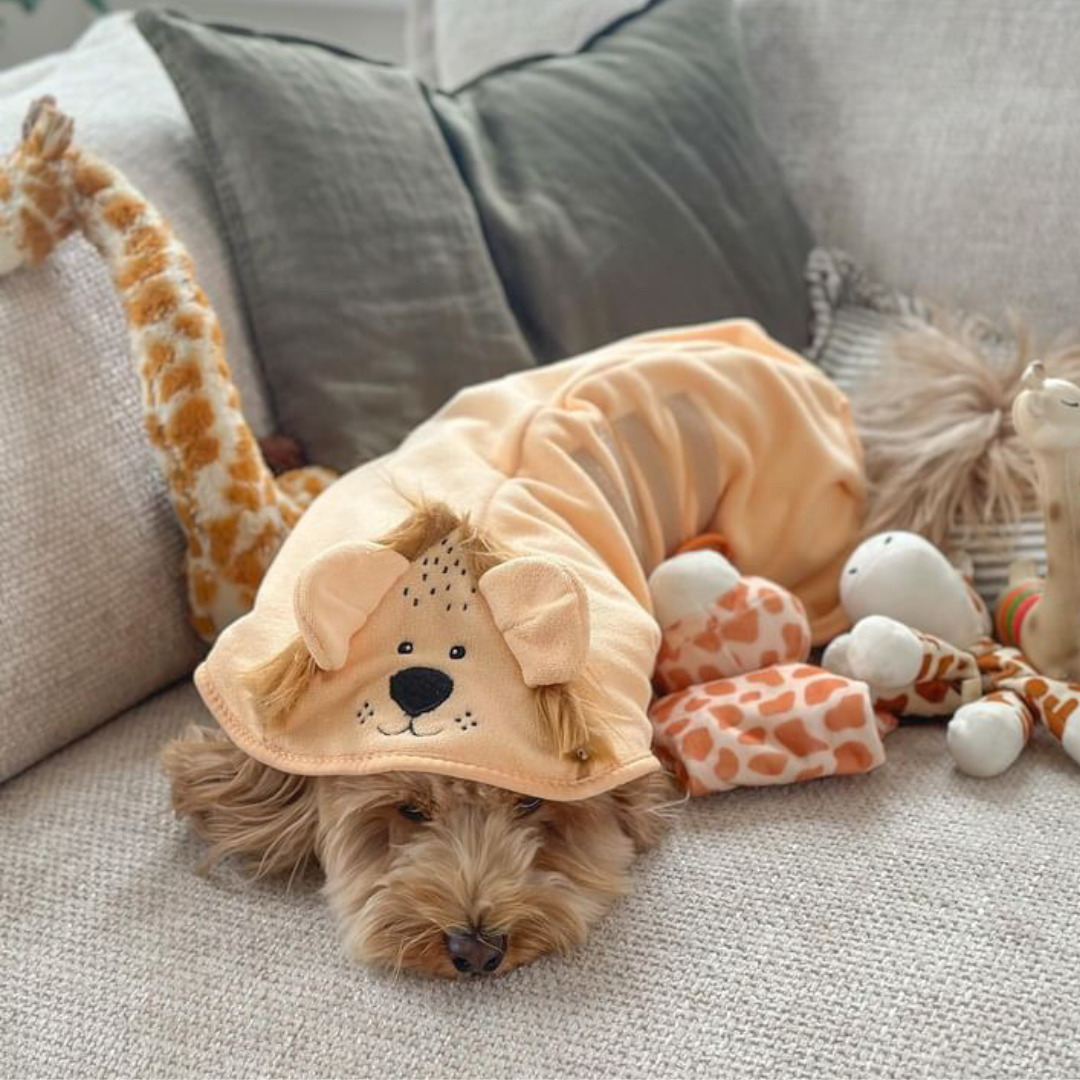 Peignoir de séchage Roary the Lion