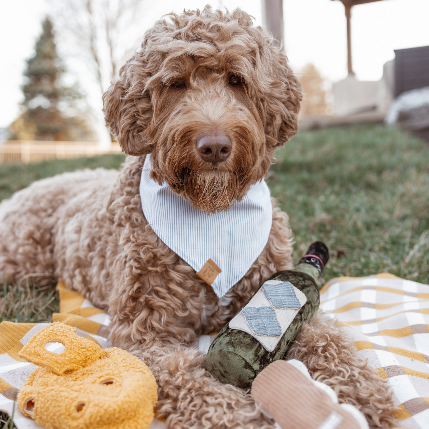 JOUET POUR CHIEN MERLOT//ENRICHMENT