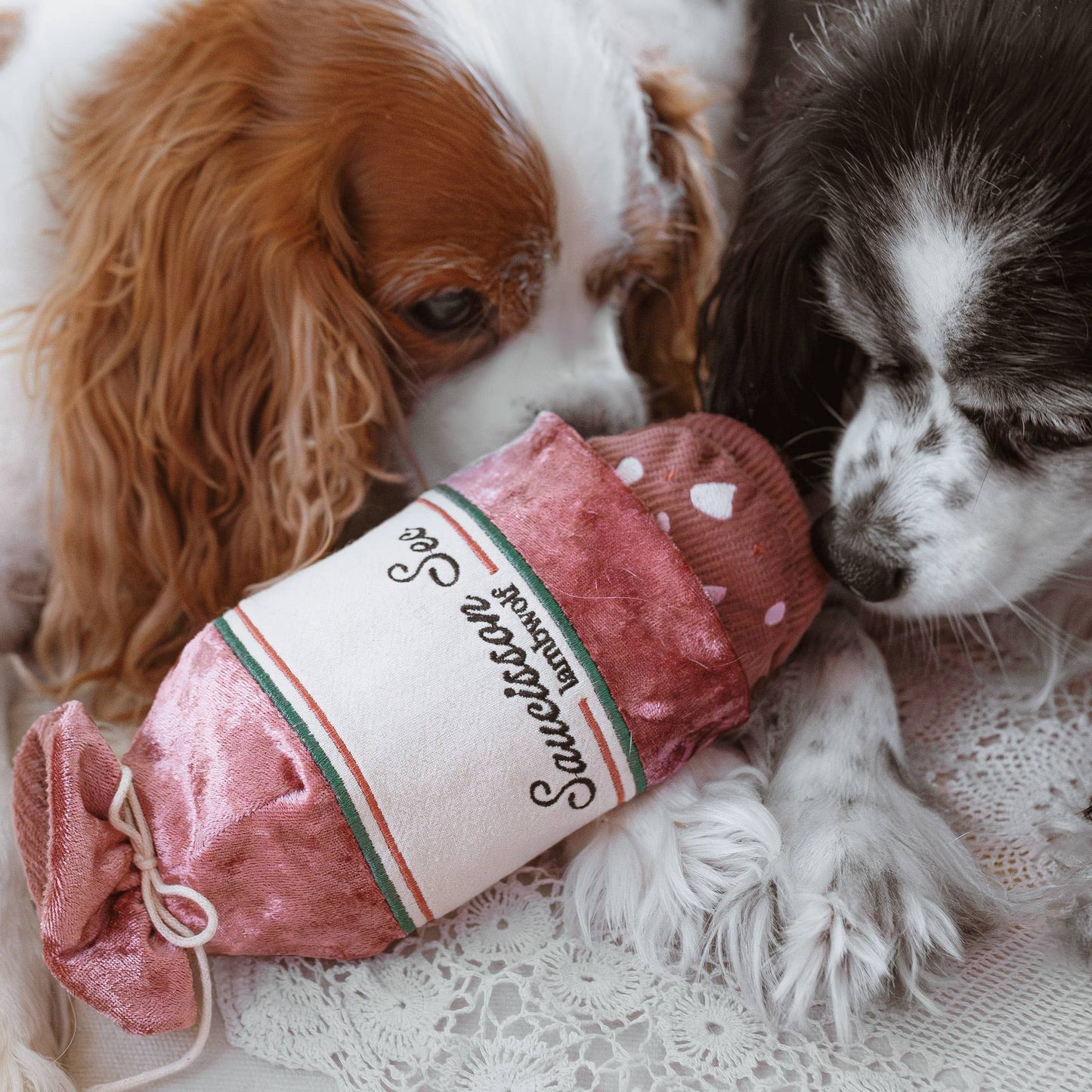 JOUET POUR CHIEN ENRICHISSANT//SAUCISSON SEC