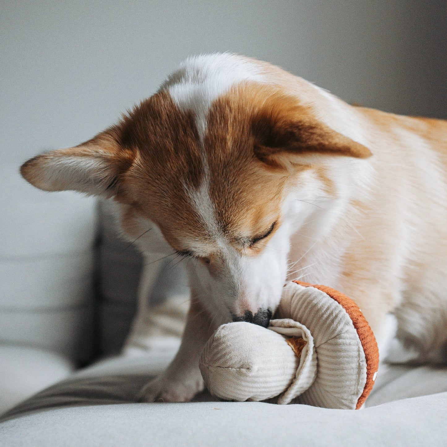 Peluche Champignon