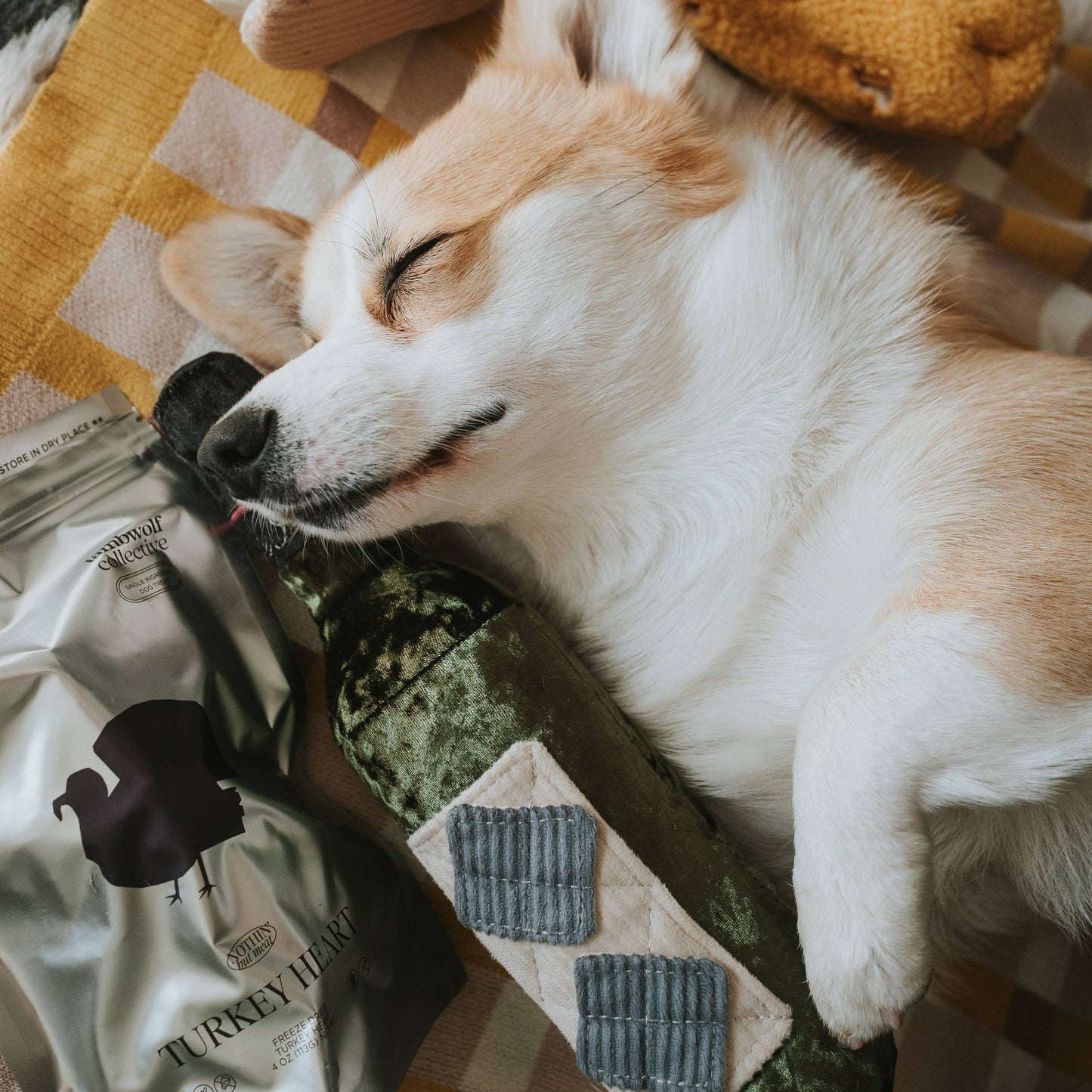 JOUET POUR CHIEN MERLOT//ENRICHMENT