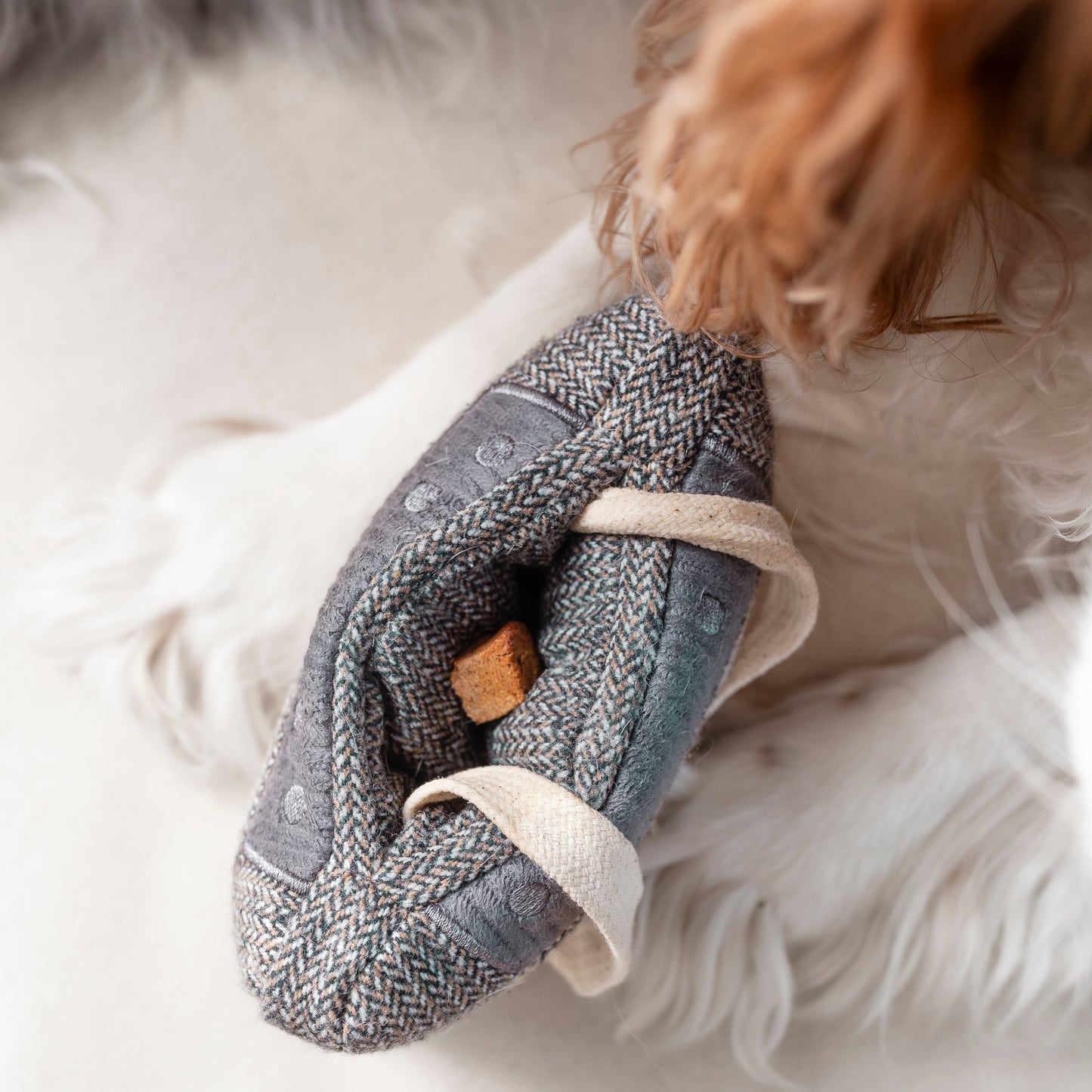 CASSETTE // JOUET D'ENRICHISSEMENT POUR CHIEN