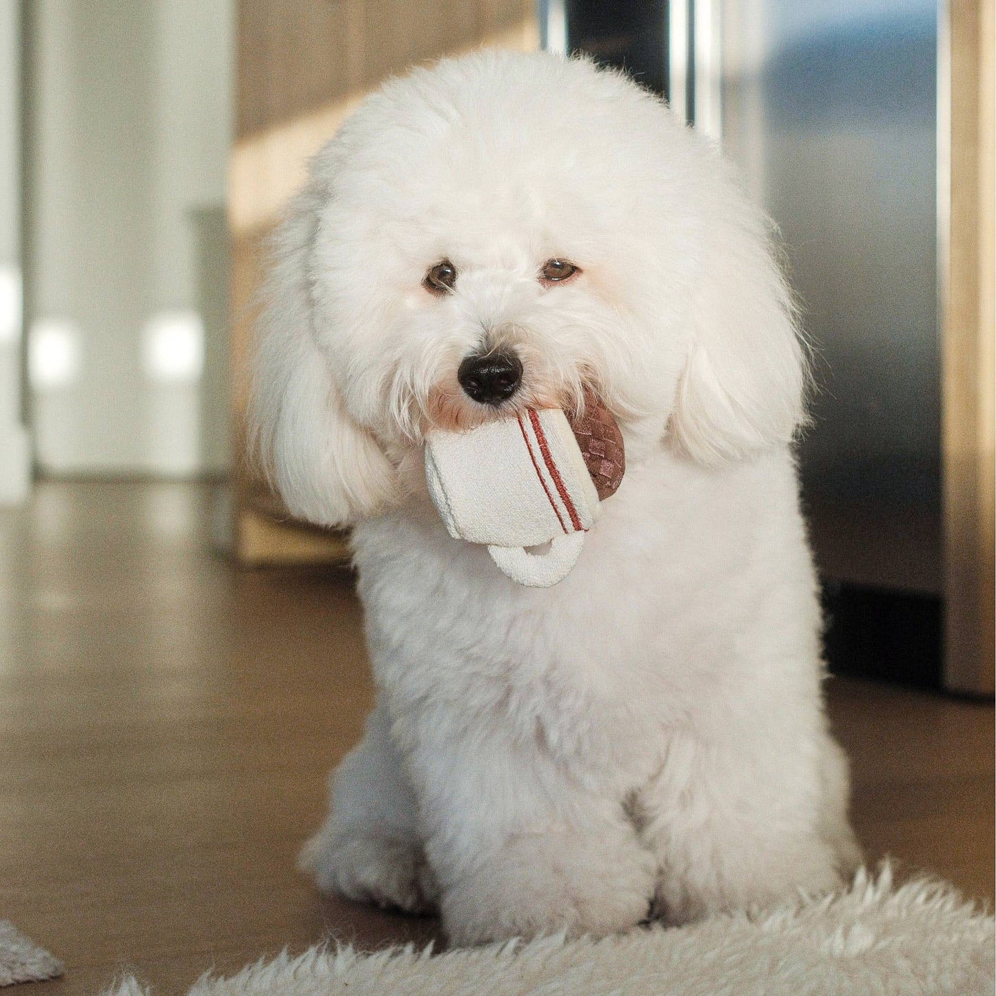 EXPRESSO POP//JOUET D'ENRICHISSEMENT POUR CHIEN
