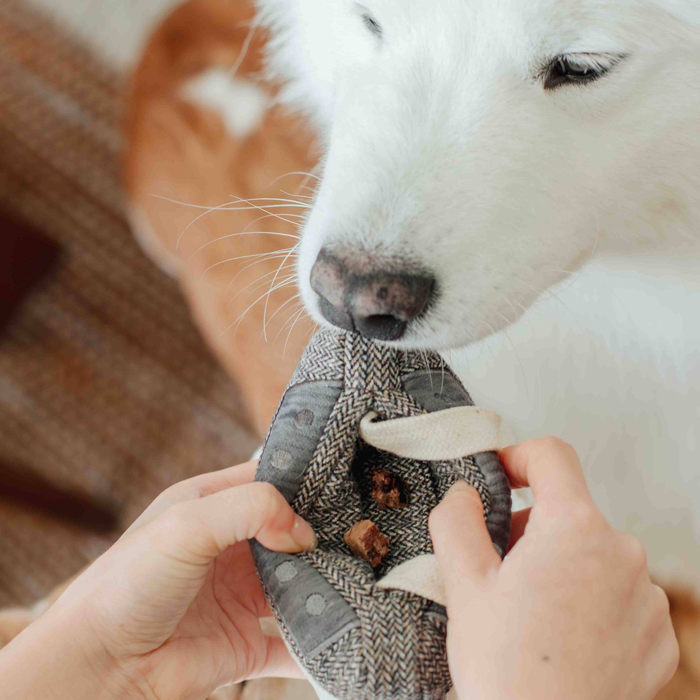CASSETTE // JOUET D'ENRICHISSEMENT POUR CHIEN