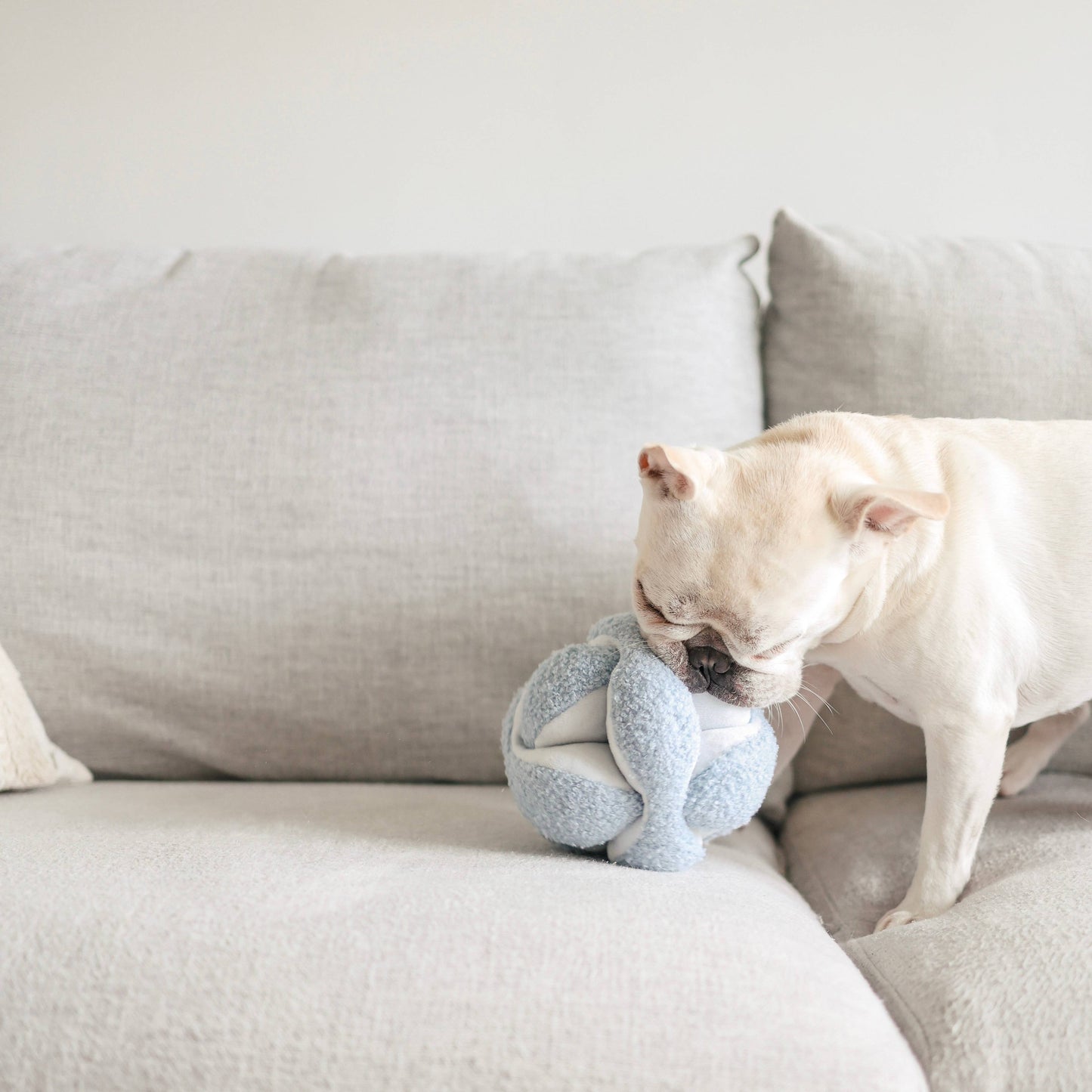 Peluche balle