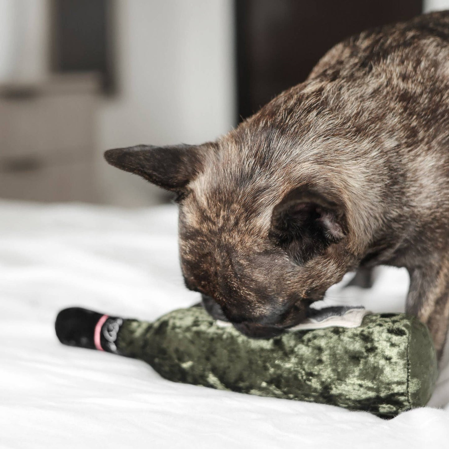 JOUET POUR CHIEN MERLOT//ENRICHMENT